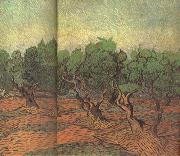 Vincent Van Gogh Olive Grove (nn04) USA oil painting artist